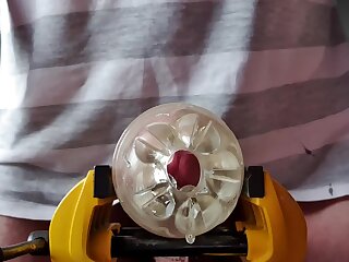 Cock head close-up
