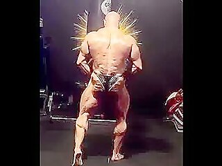 Musclebull Flex