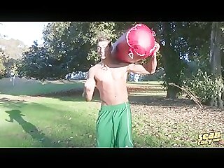 sc1554 Will