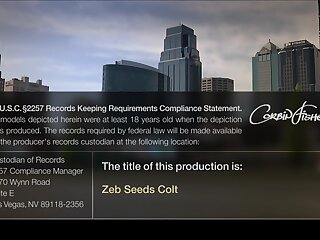 Zeb Seeds Colt