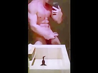 Jerking