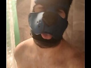 Puppy domicile qui ce d&eacute;fonce le cul dans la douche