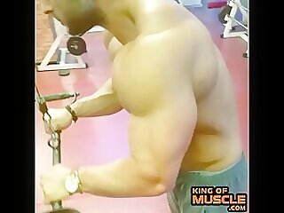 Biceps