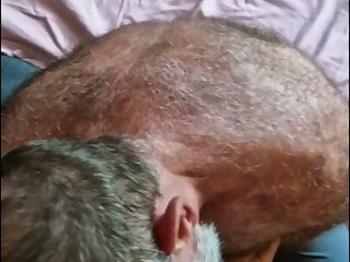 Hairy muscle Bear sucks Boy dry